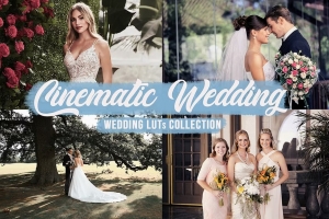 12款唯美浪漫爱情婚礼电影视频调色LUT预设 Cinematic Wedding LUTs Bundle