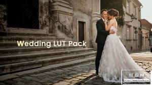 【调色预设】30个现代时尚浪漫婚礼视频调色预设 Color Finale – Wedding Pack