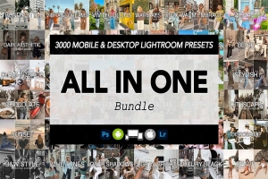 【LR预设】3000款INS时尚博客旅拍人像生活摄影调色Lightroom预设合集 All in One – 3000 Lightroom Presets Bundle